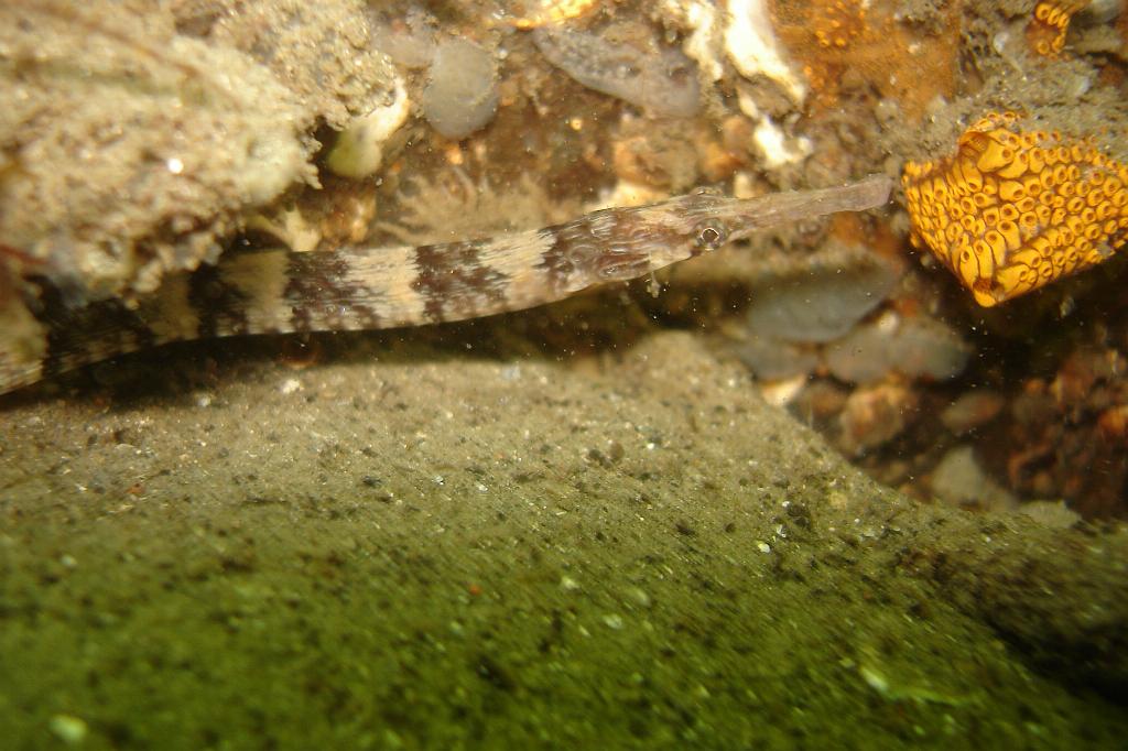 2008-08-31 11-02-45.JPG